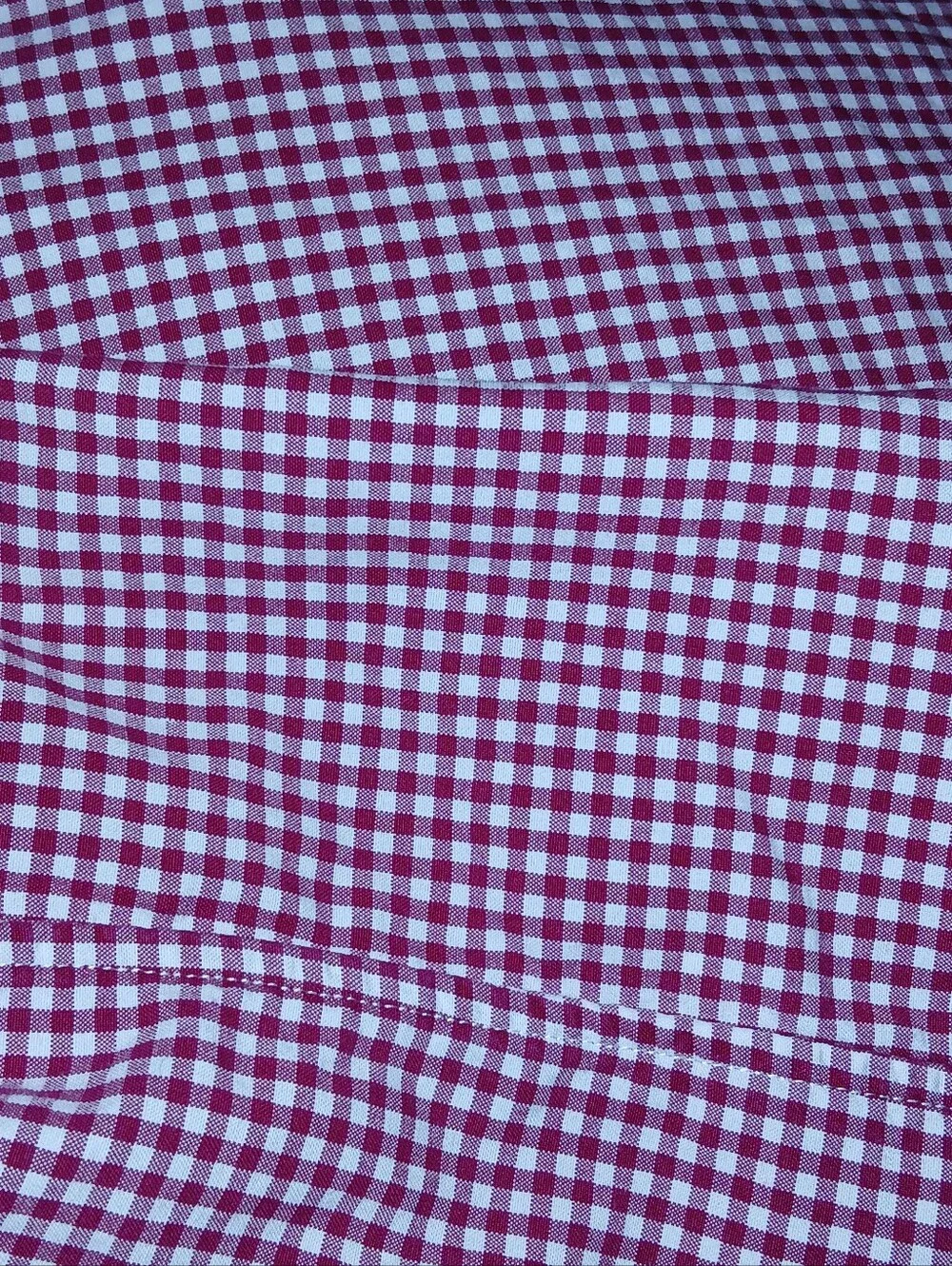 Polo by Ralph Lauren Purple Gingham Button-Down Shirt